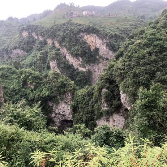 姐姐（手机摄影）