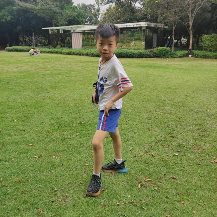 人生怎能只如初见