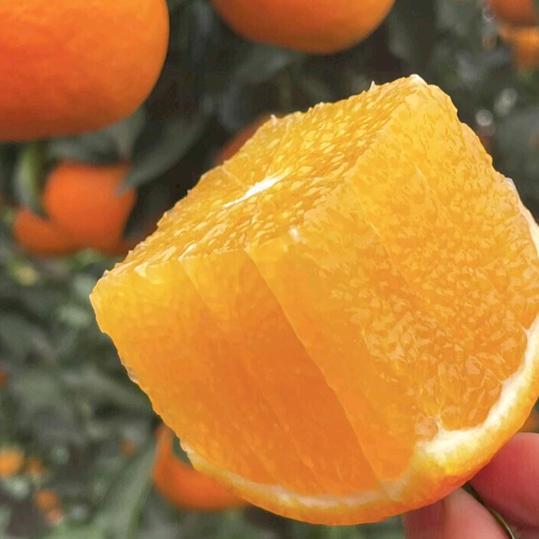 永光超市批发小时达