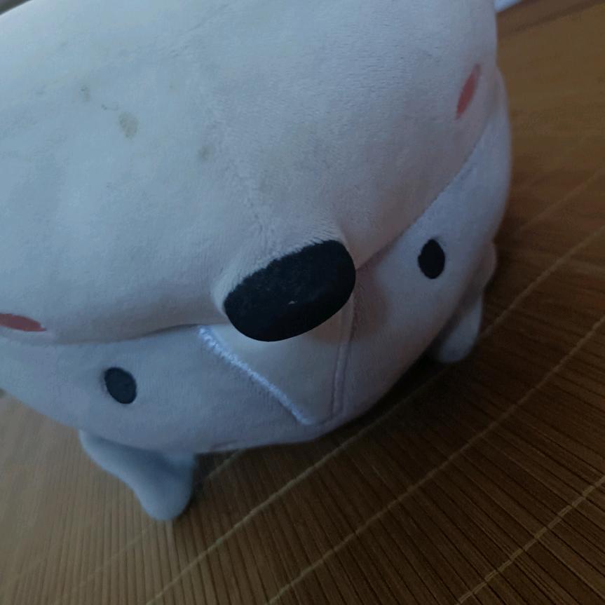 F小狗