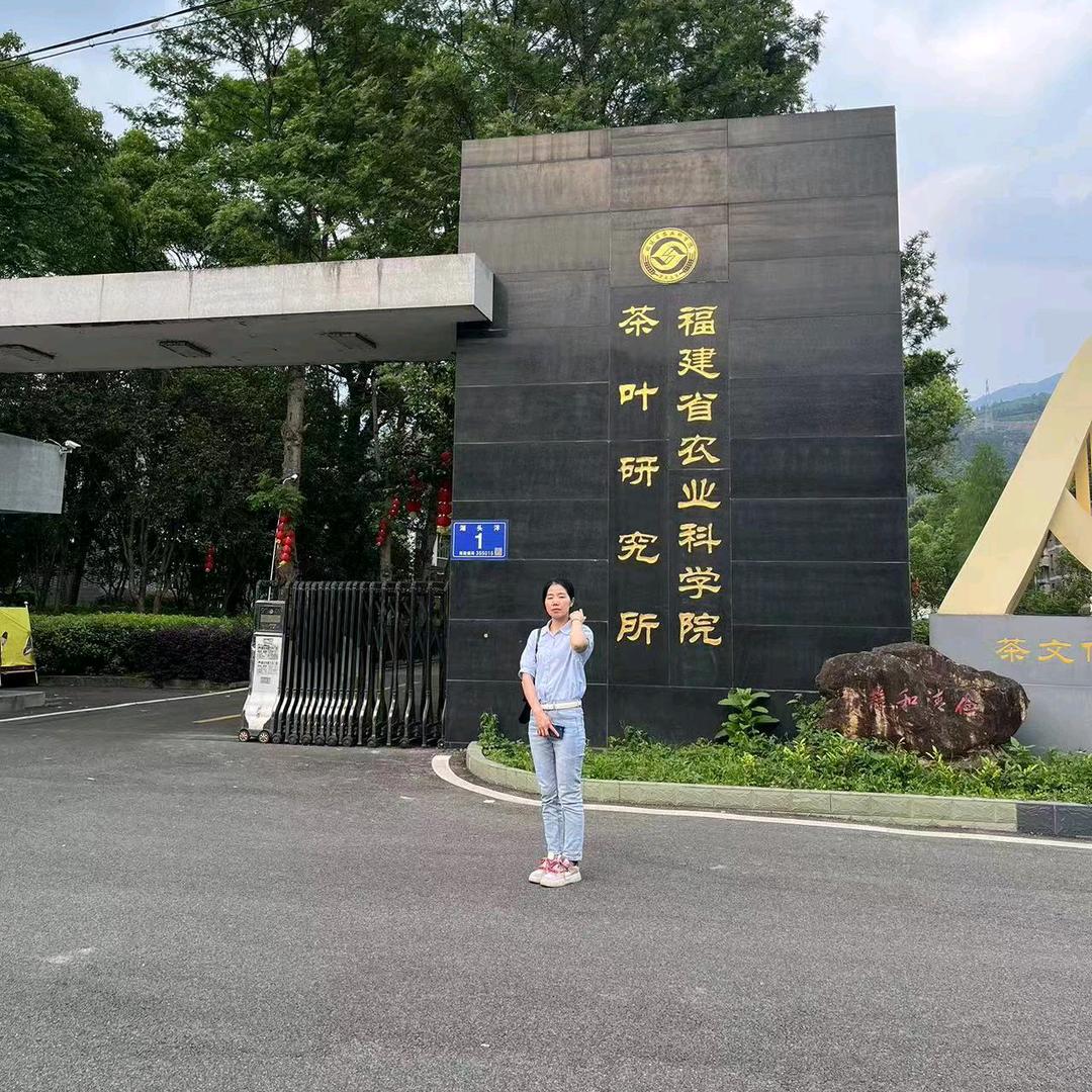 松香生态茶业