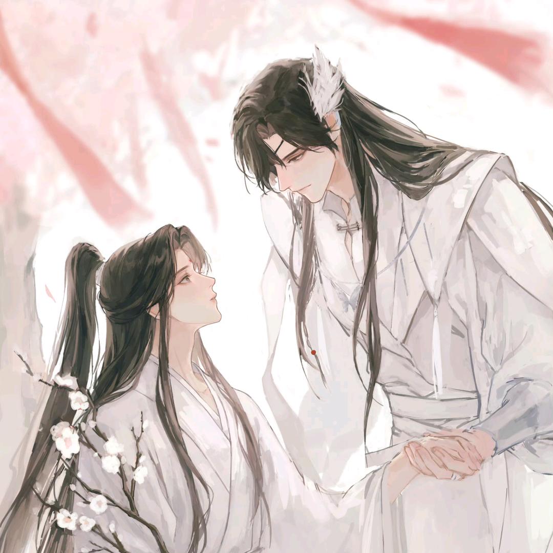 一颗香菜Jmo🌱（夏天周而复始）