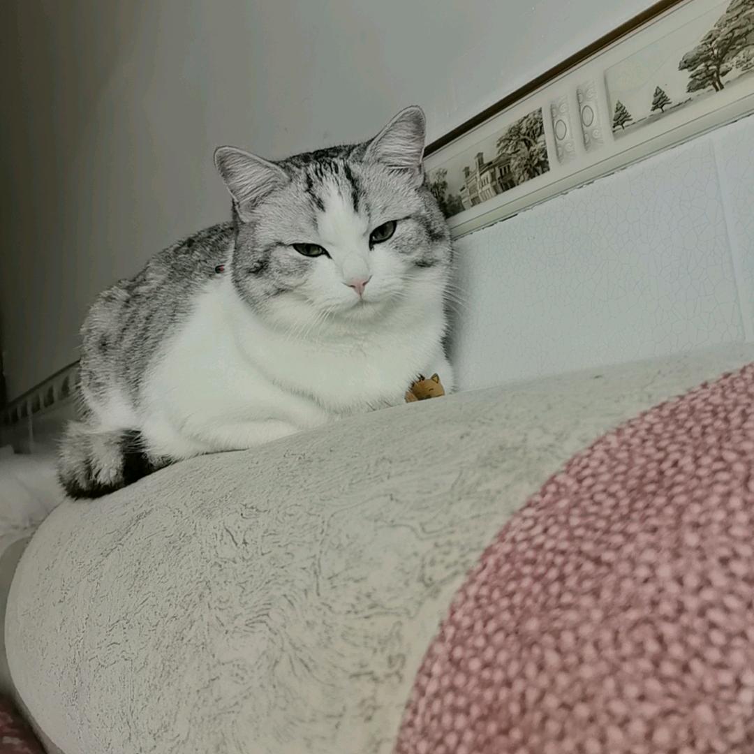 朱幺妹