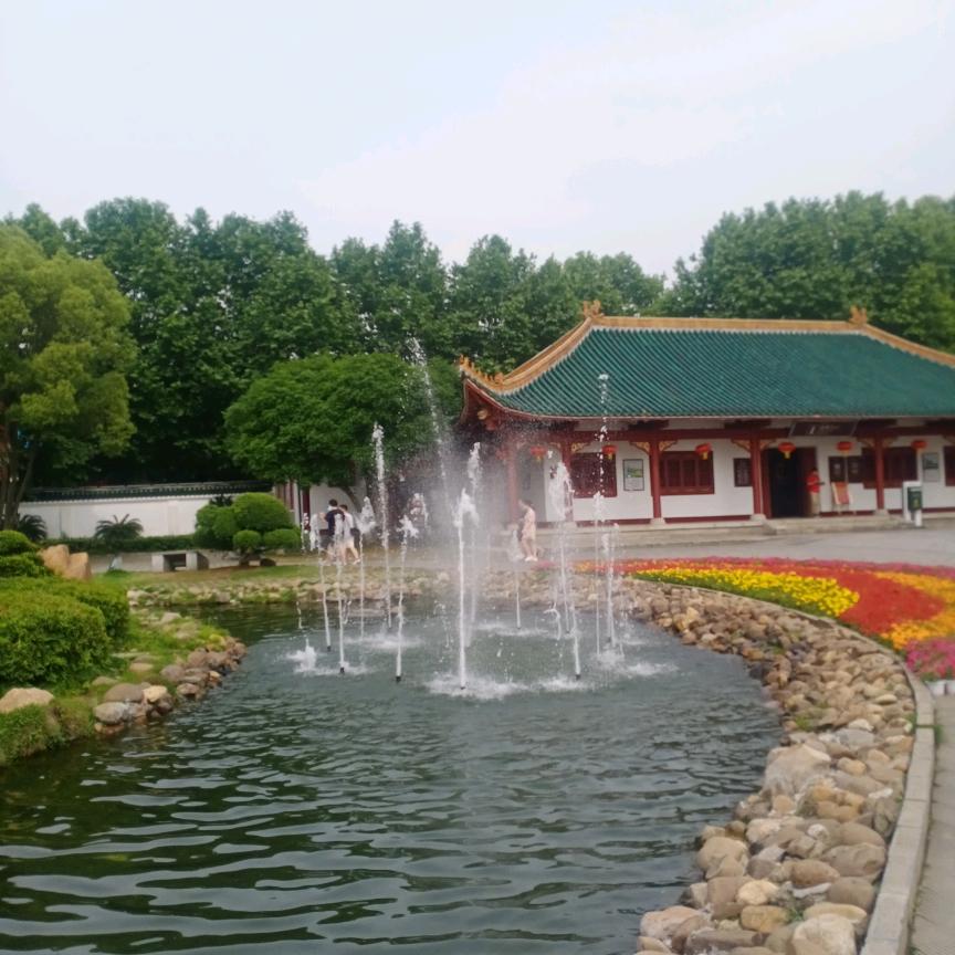 逆流而上