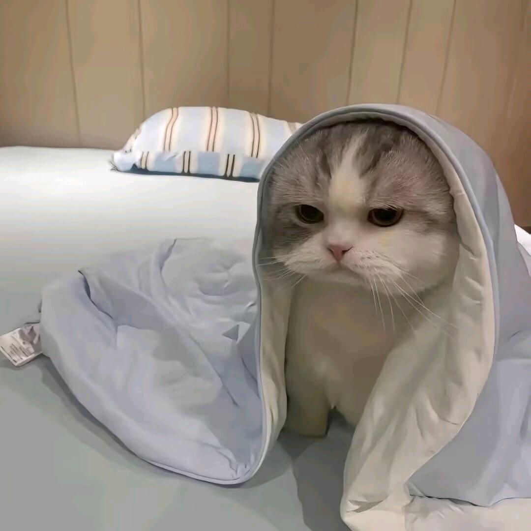 不问心