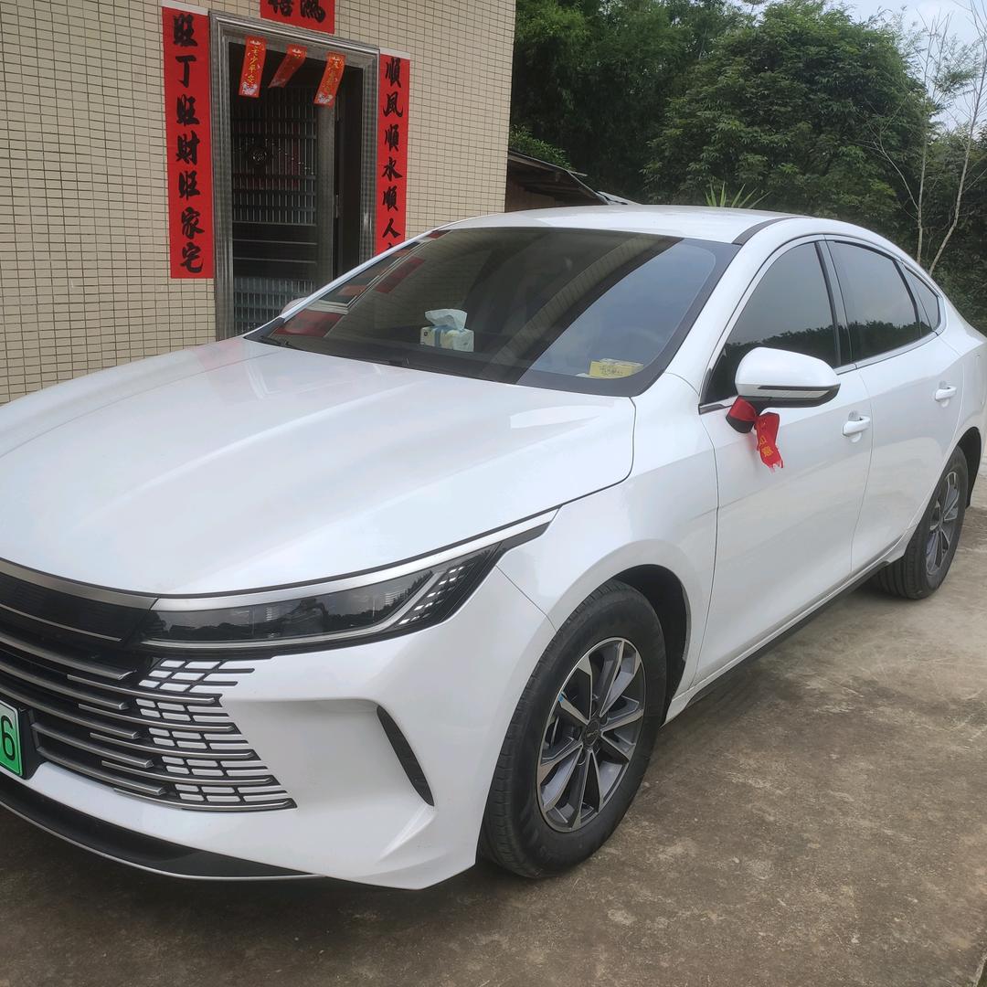 喜欢自驾游的小龙