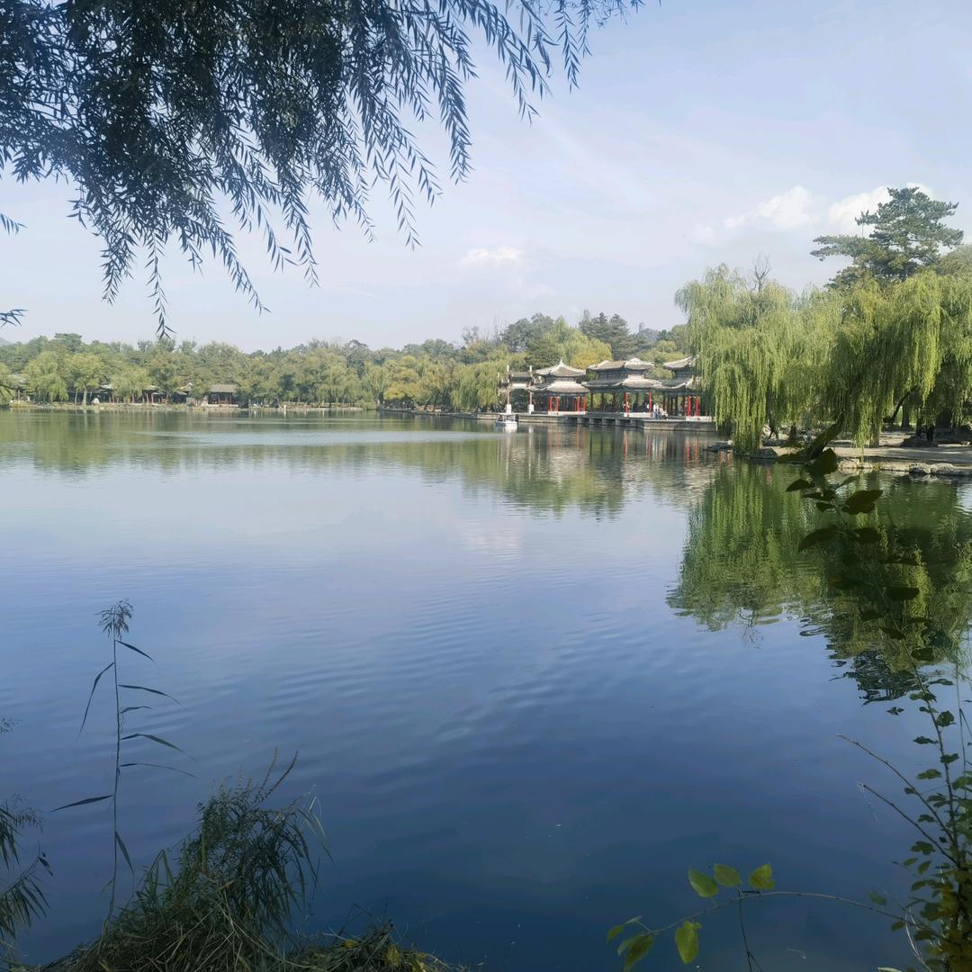 小兔子乖乖