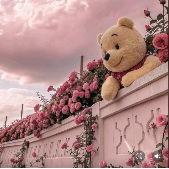 曲江卖机大姐姐