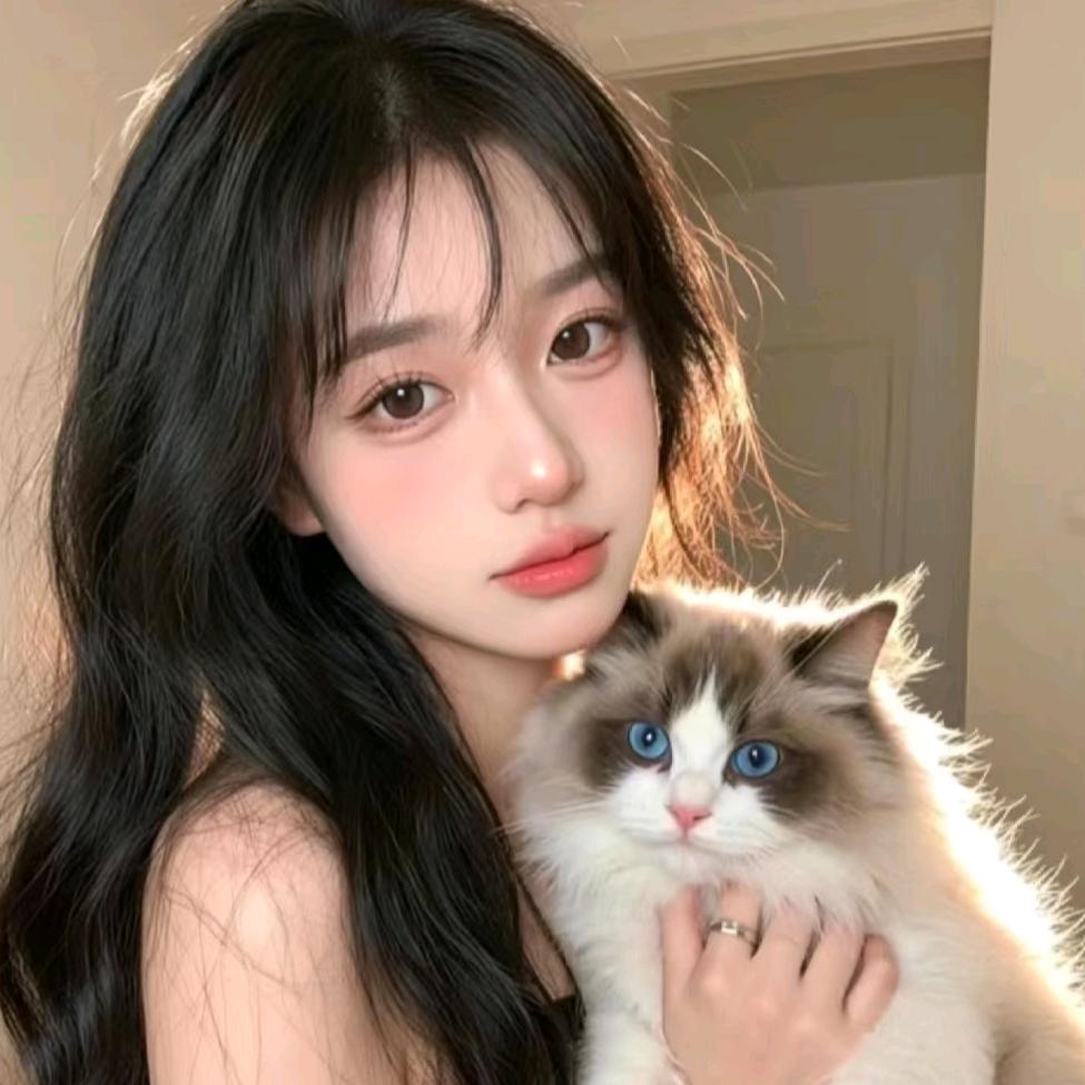 菜菜