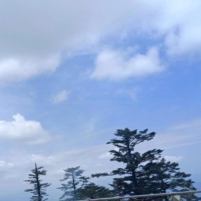 敏敏