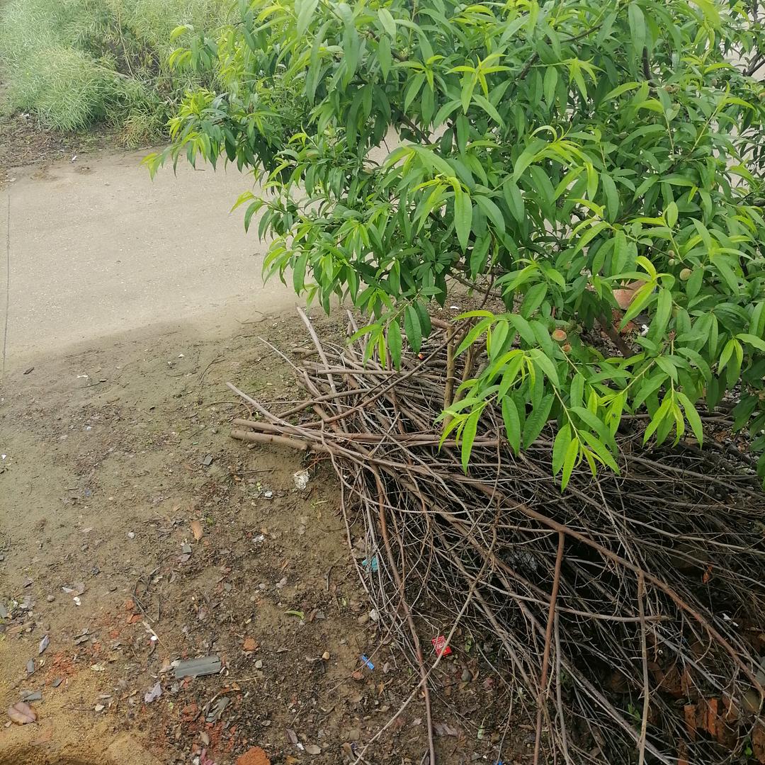 寻找你