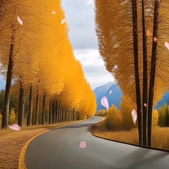 ❤️岁月静好❤️