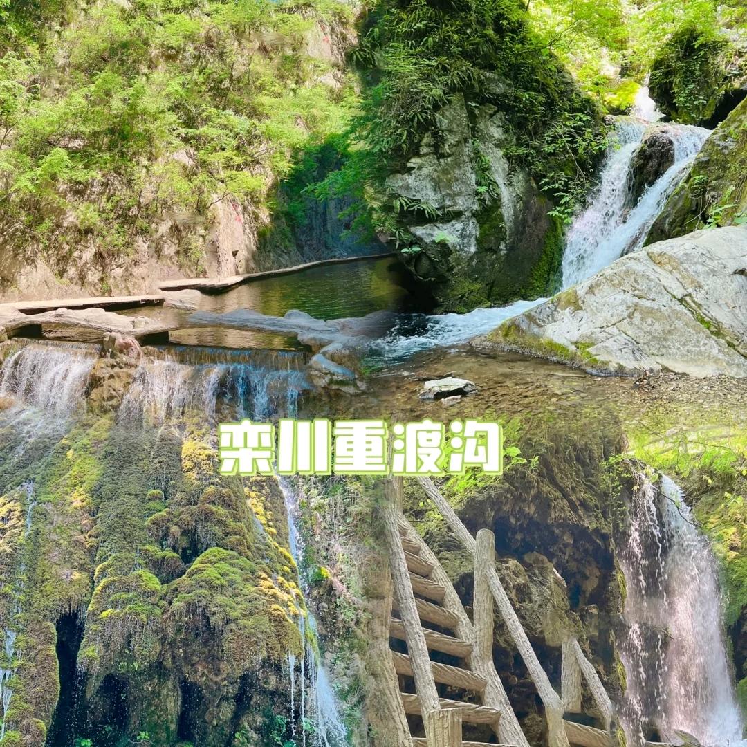冲冲冲
