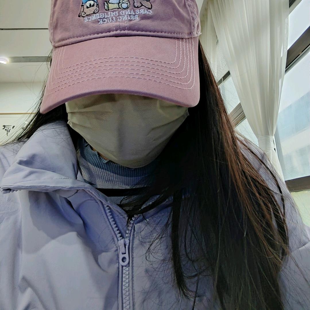 萨尔茨堡的树枝