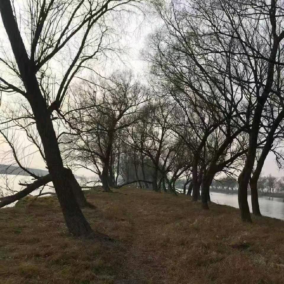 洞庭湖里 打渔滴
