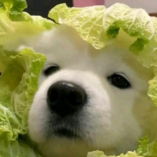 畅畅零食