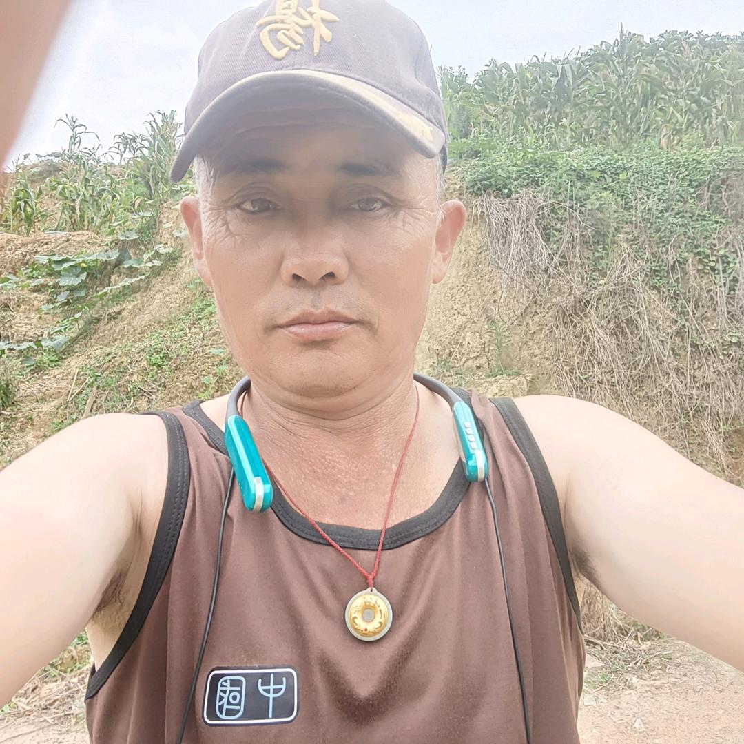 一支独秀