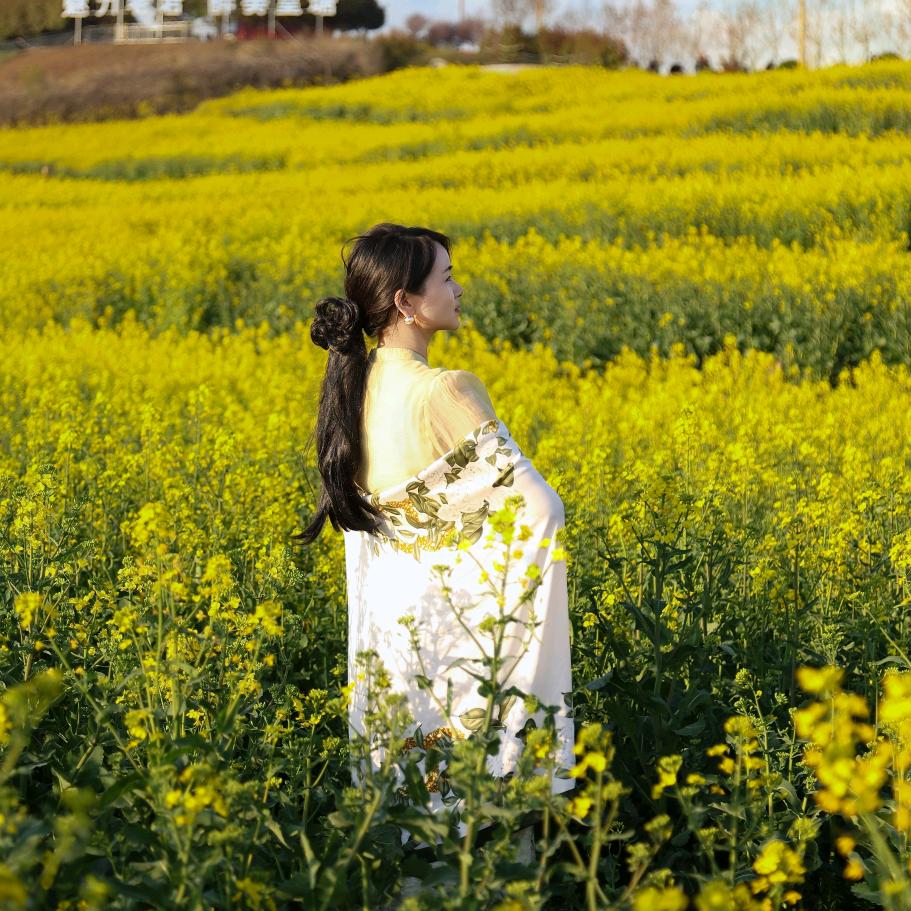 婉婉