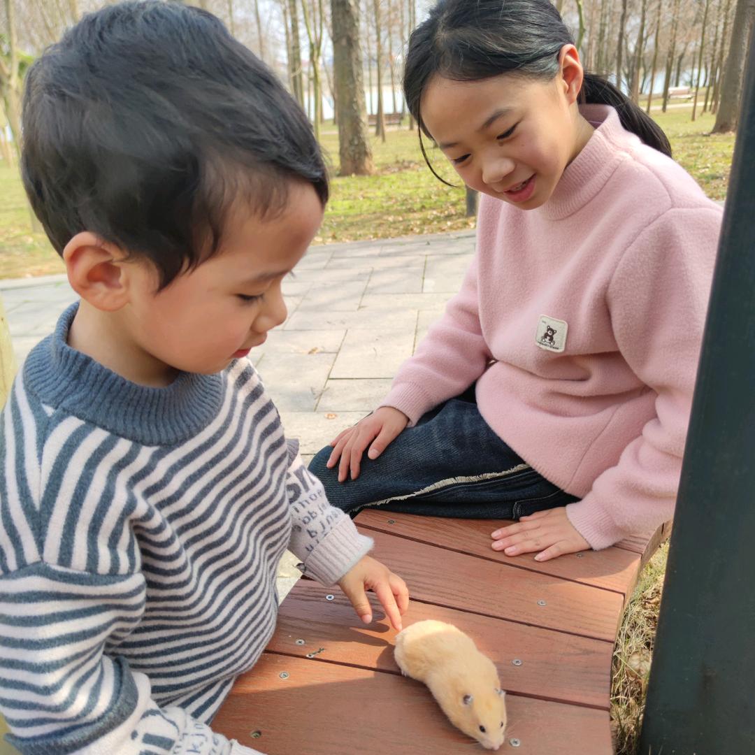 墨眉