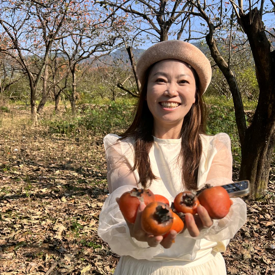 大婷玩乐大湾区