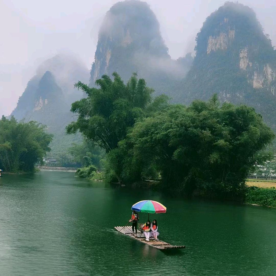 杨师傅家电服务（家电清洗维修）