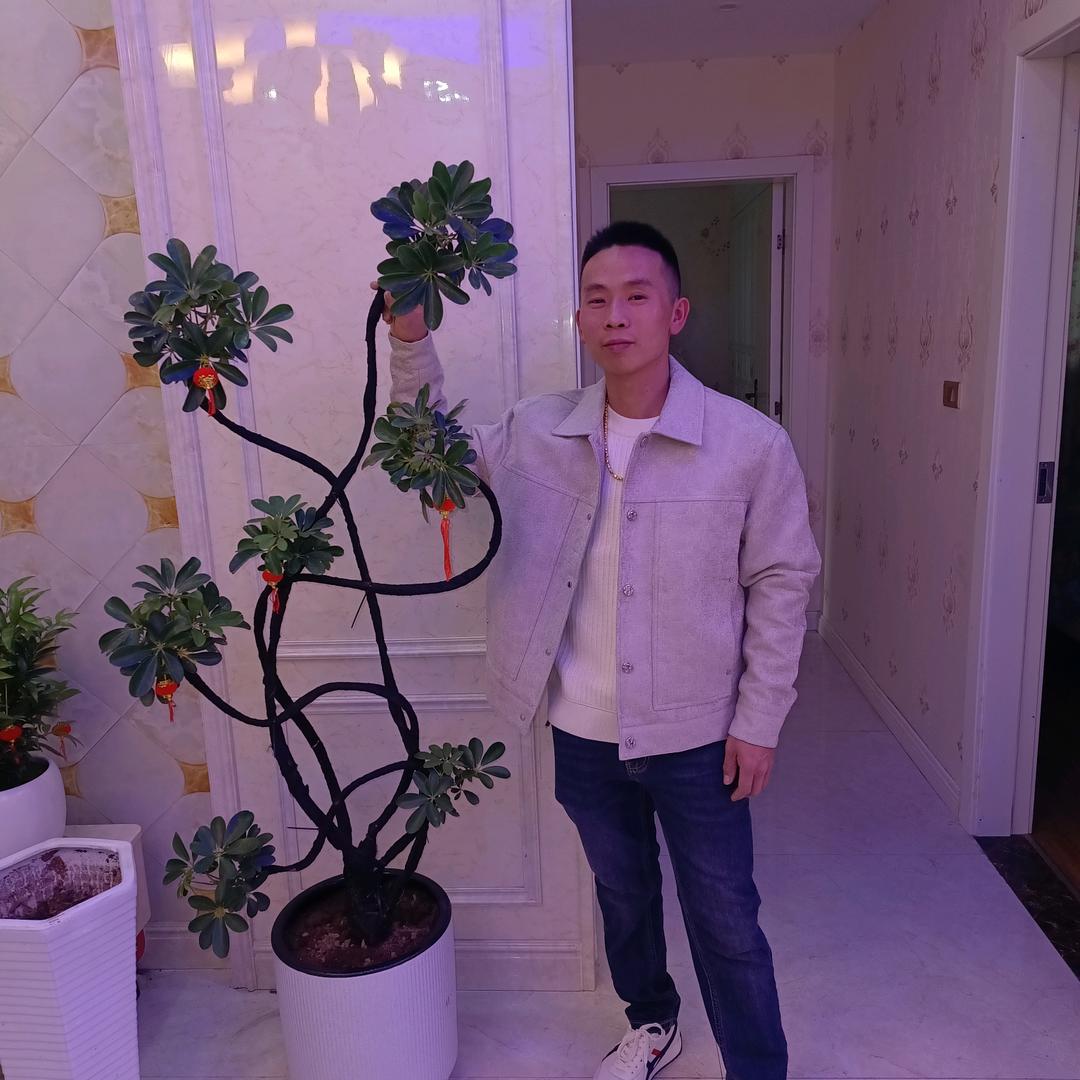 建筑材料及运输