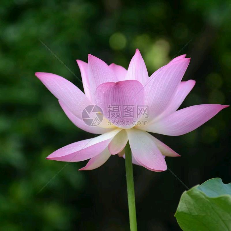 春风得意慧姐