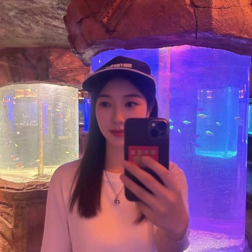 陈哥带你飞