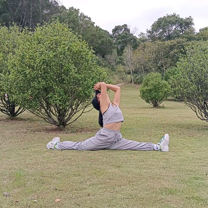 燕子（爱跳舞）