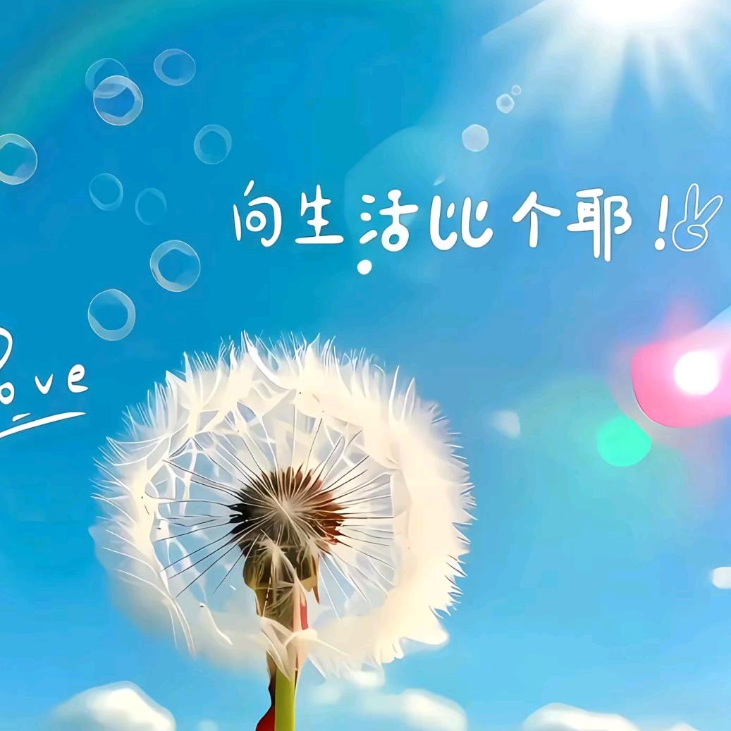 不要倔强的如此无可救药