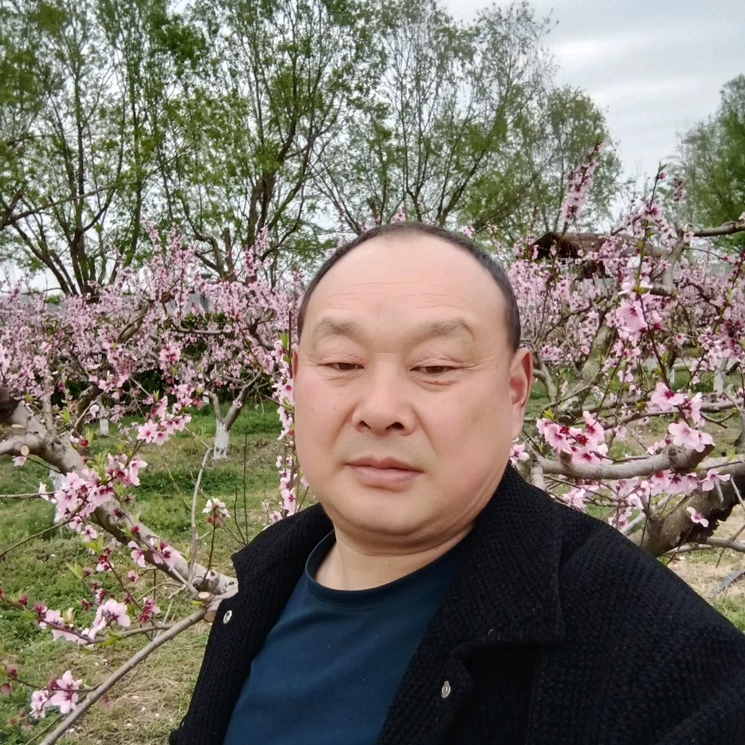 大明日杂