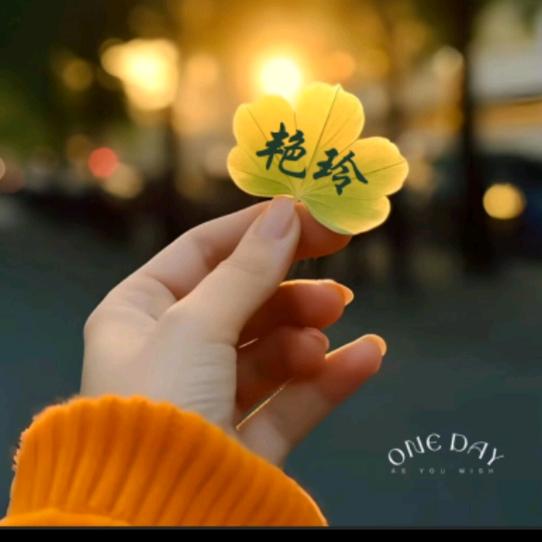 阳光总在风雨后