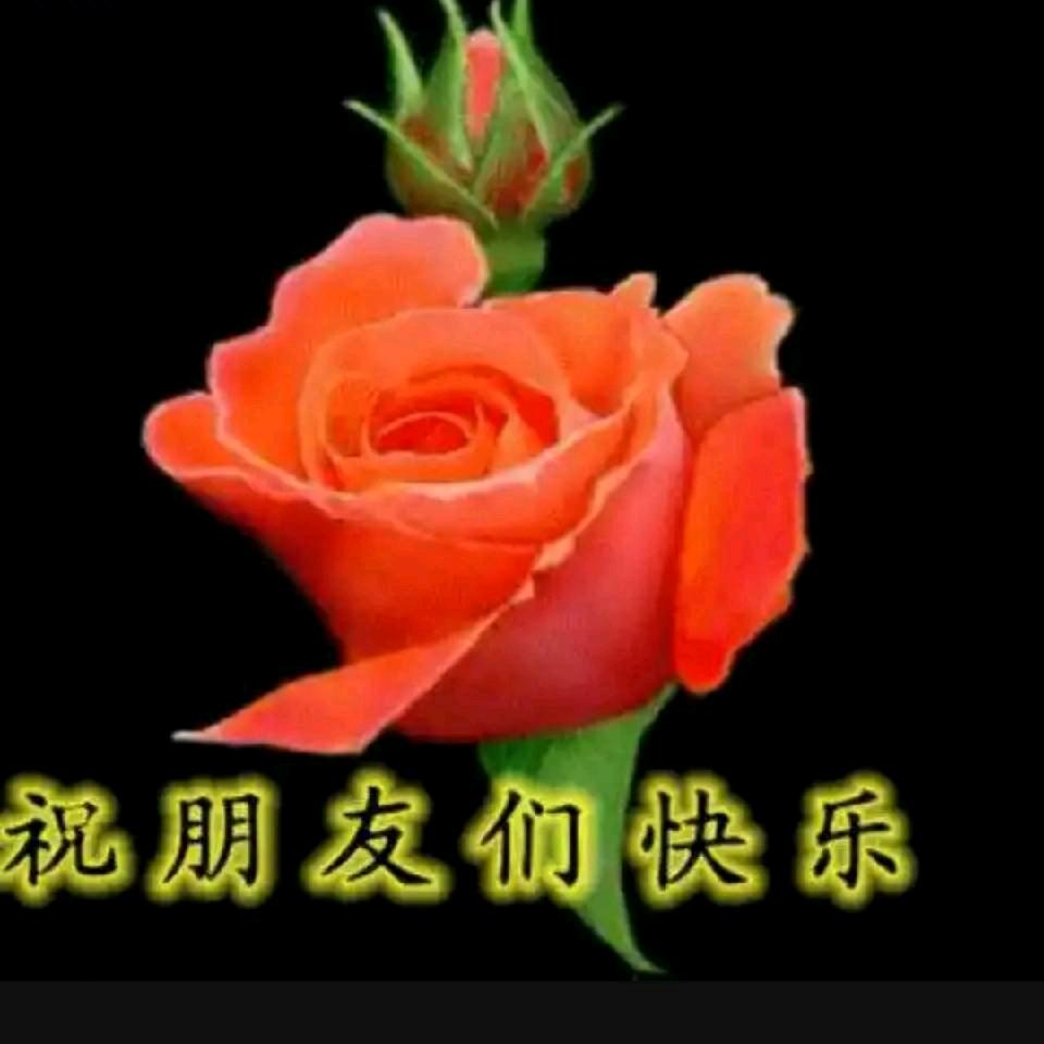 岁月悠悠