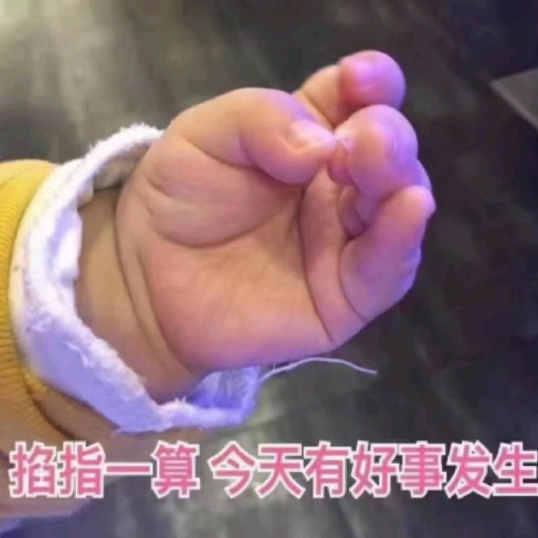 东流西荡 南河北浪