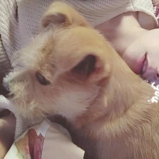 可爱小妍妍🐼🍡.ᴿᶨᴼ̴ᕽ