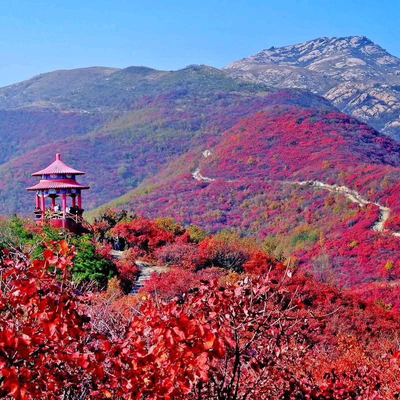 大别山人