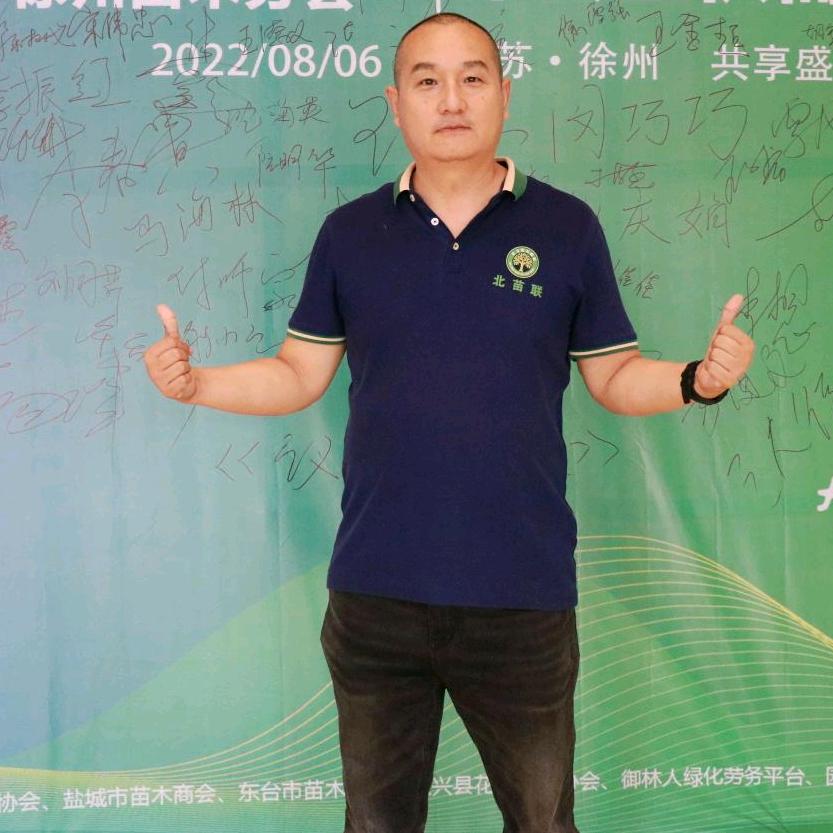 多一亩法桐孙领军