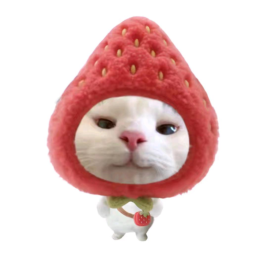小鱼游阿游ooO