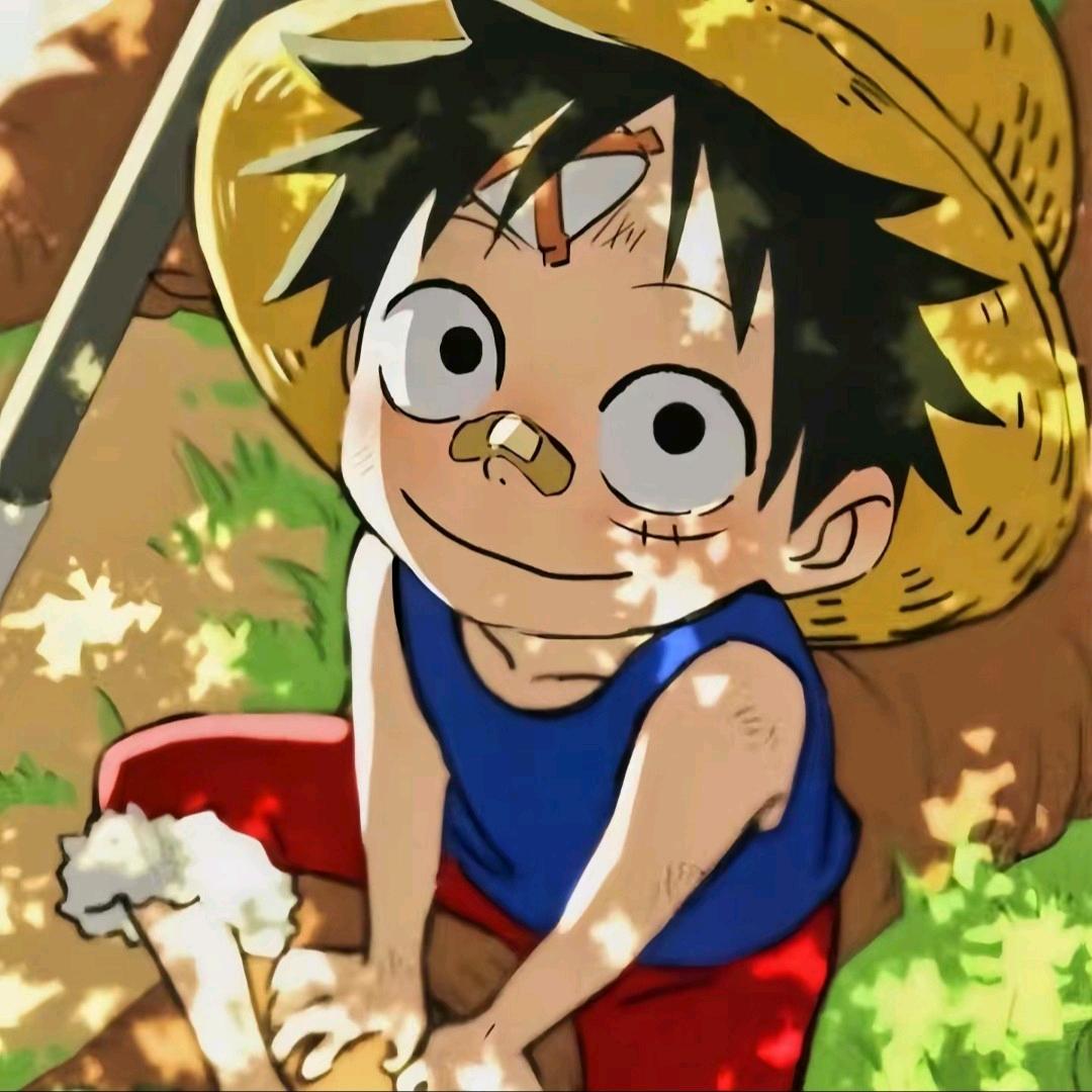 飞