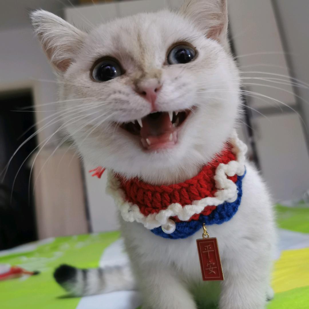 霖岚夜色（特级香橙版）