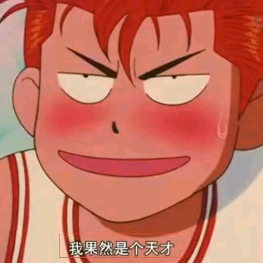 .追梦.