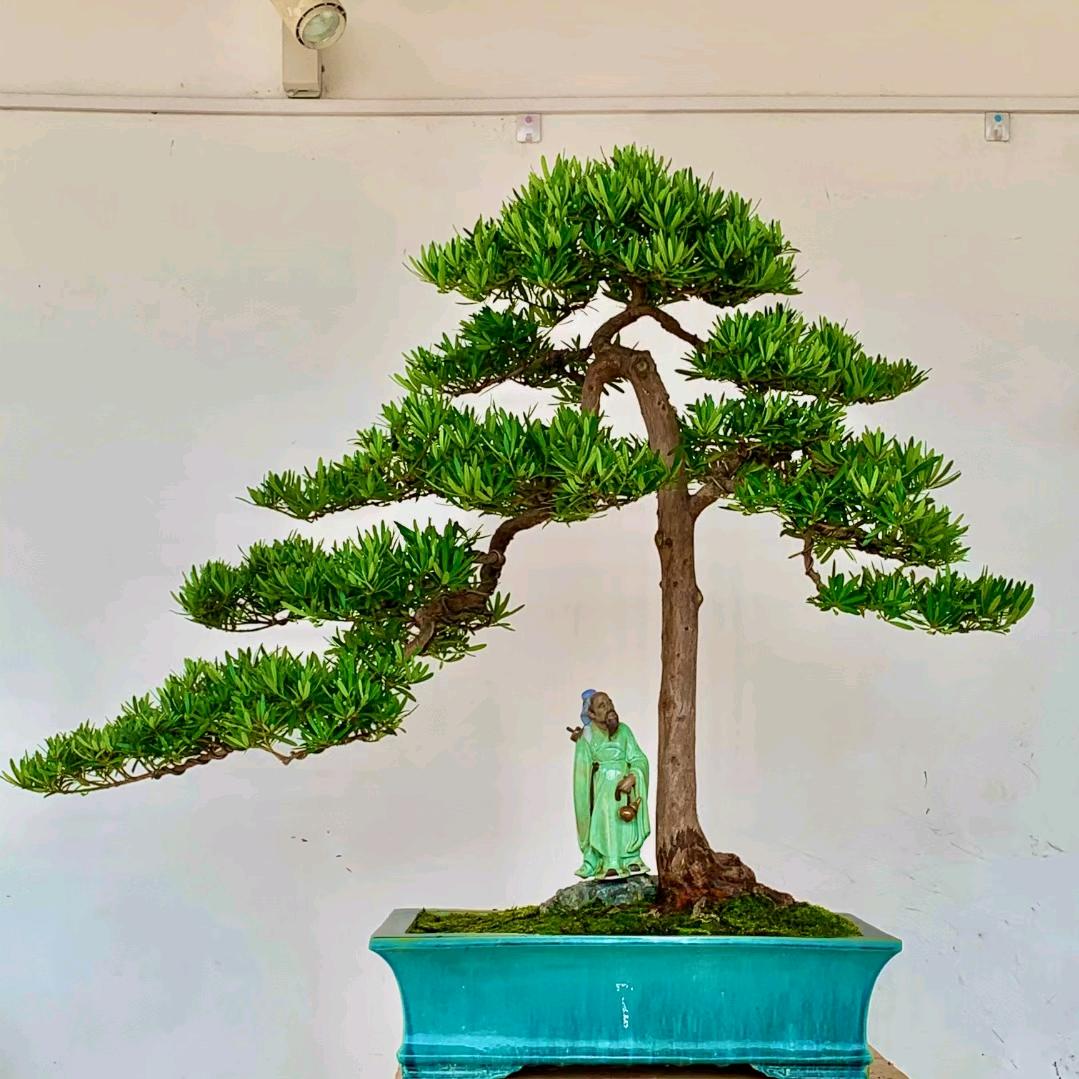 顺风顺水19260652833