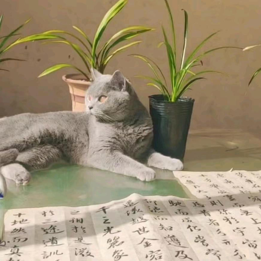 博文阁