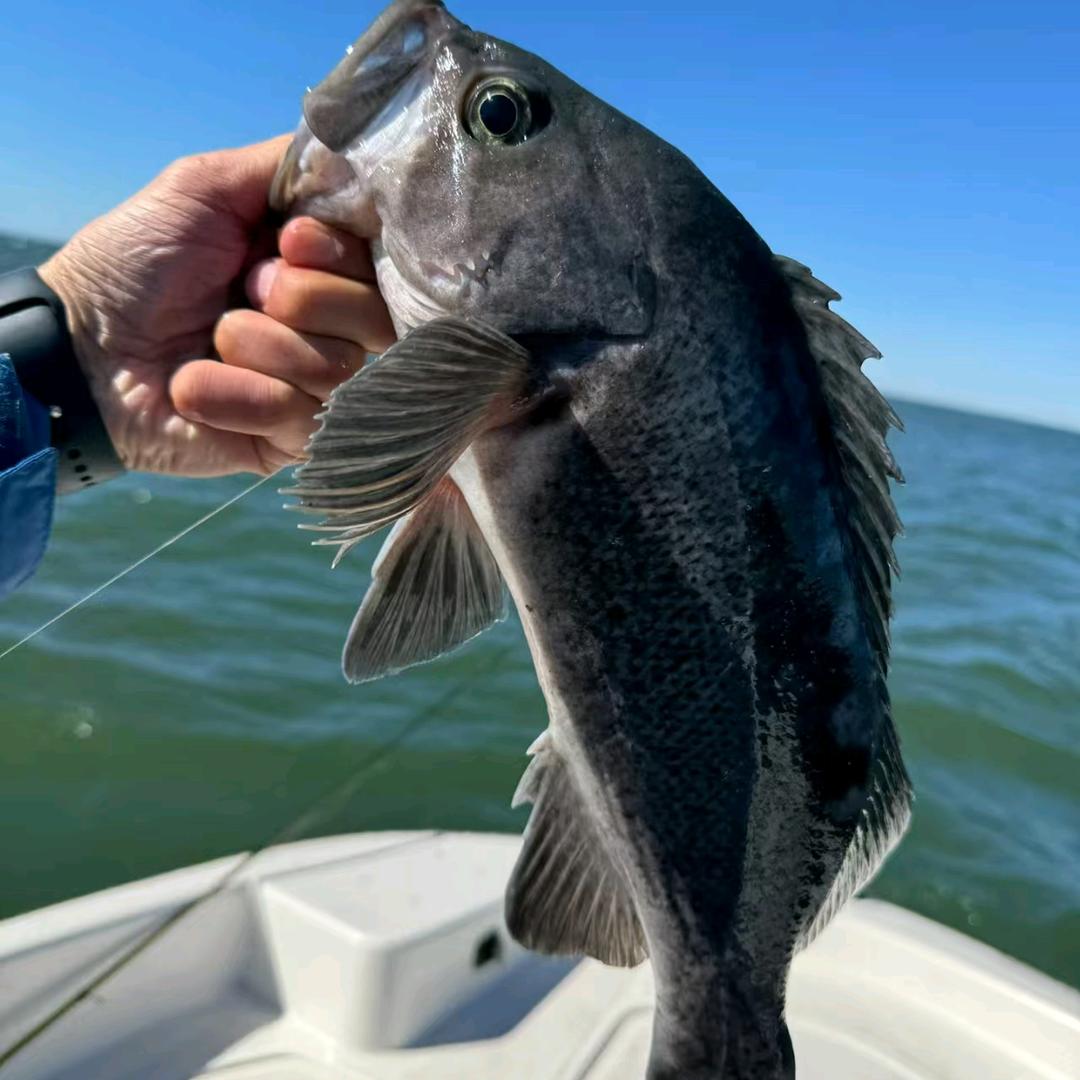 海钓严选好物店