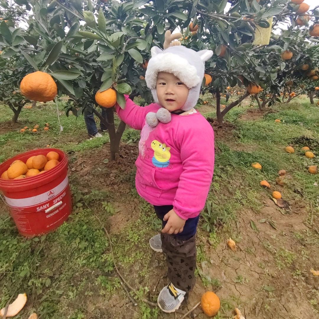 师家三千金