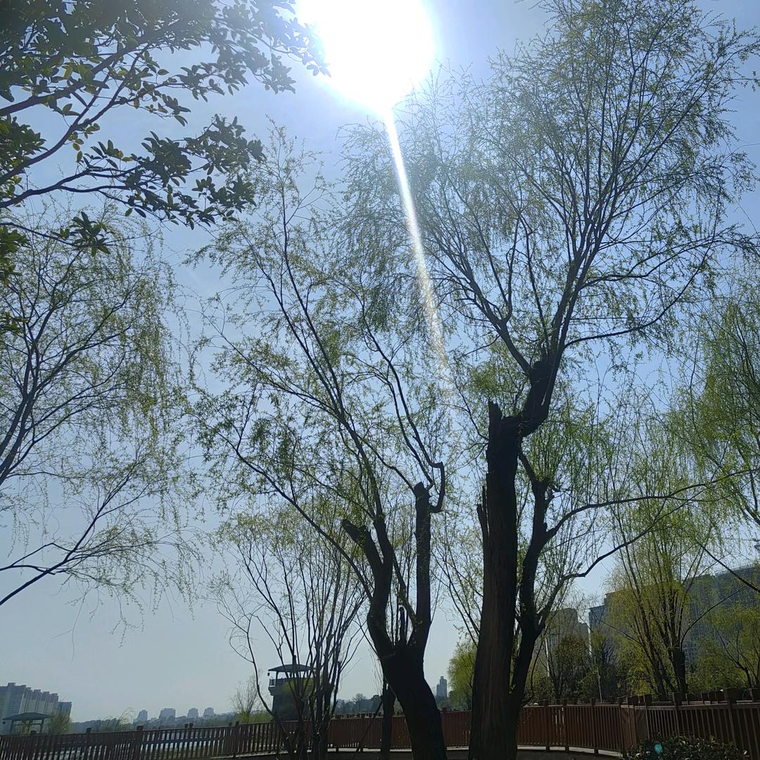 天佑阳光