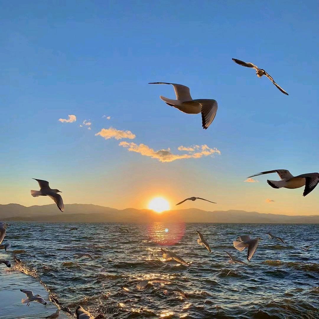 浩澜