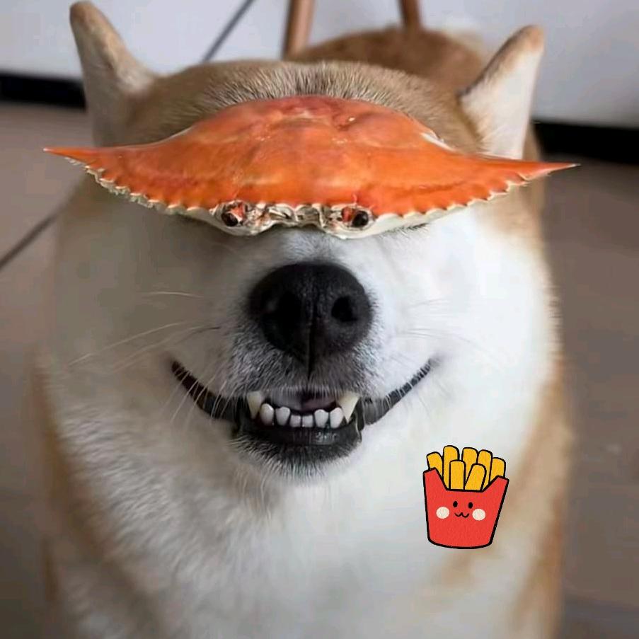 lucky dog~