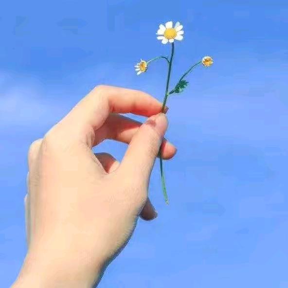 芳💃