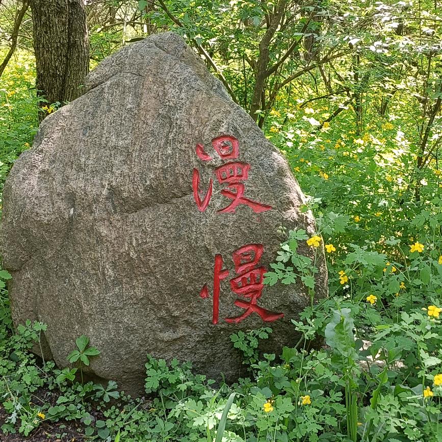 忙而不茫